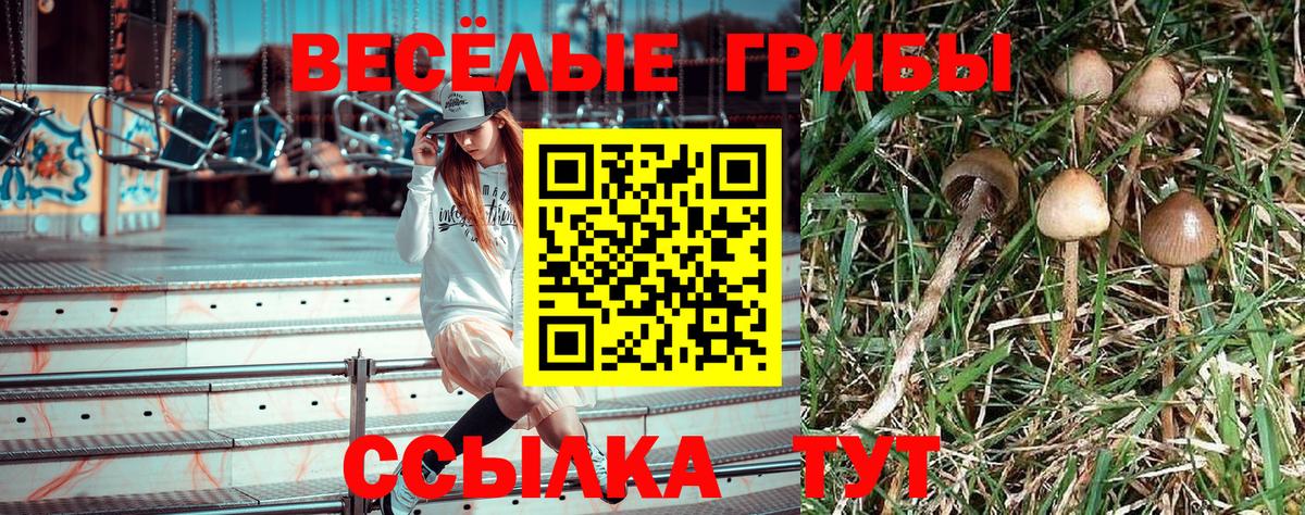 Коломна  Псилоцибиновые грибы прущие грибы  Вход с VPN 