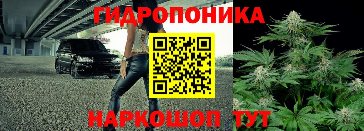 Канабис VHQ  Шишки марихуана планчик  Коломна  МАРИХУАНА конопля  Вход с VPN 